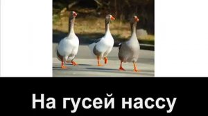 Giorgos Mazonakis   Savvato караоке по русски