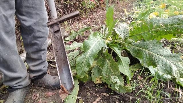 ХРЕНокопалка ! смотреть онлайн
