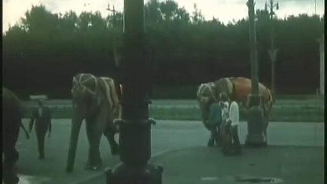 Ночь разведённых мостов смотреть онлайн