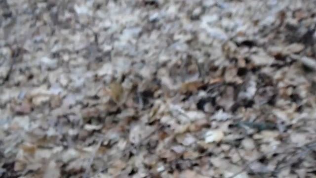 У березневий ліс покопать смотреть онлайн