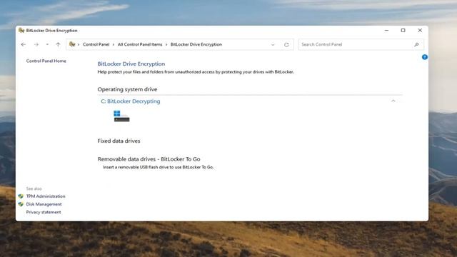 Windows 11: How to Disable Bitlocker Drive Encryption Service смотреть онлайн