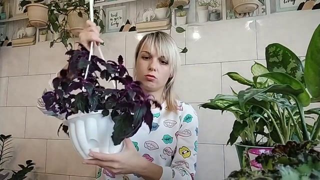 Помощь растениям в осенний период смотреть онлайн
