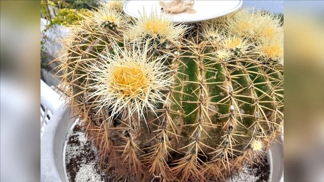 Прозрей душа до самого истока смотреть онлайн