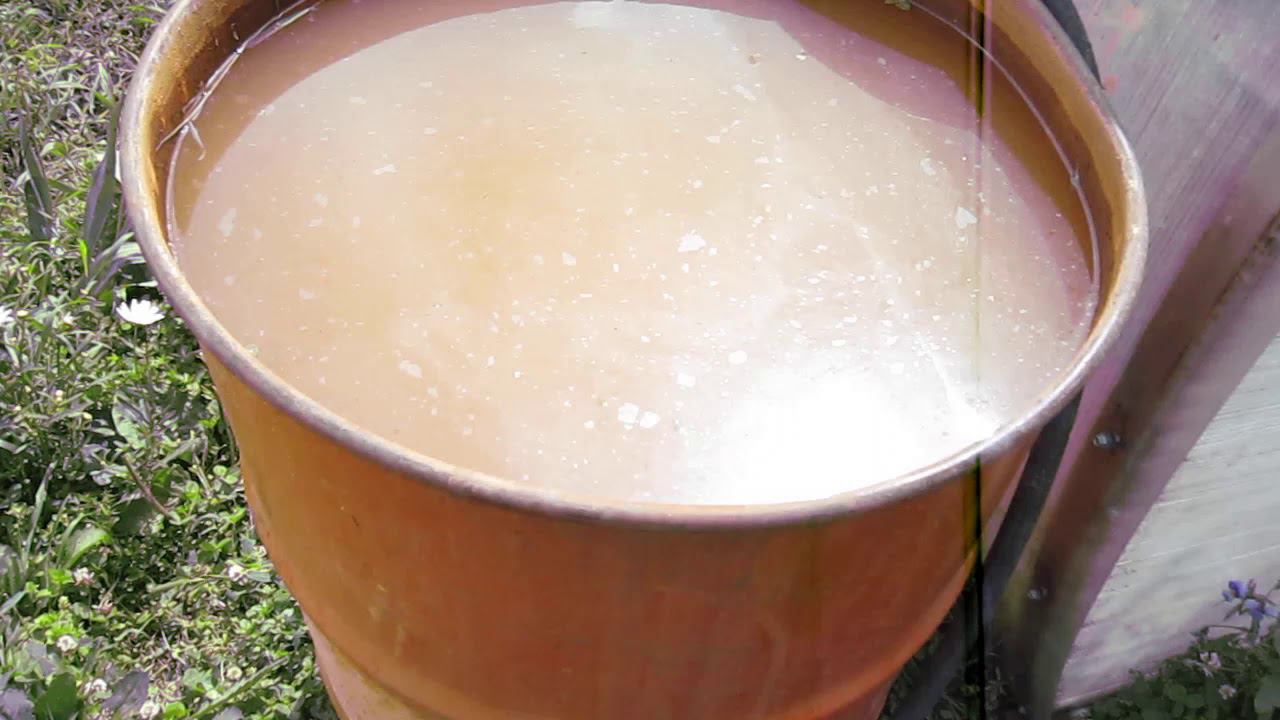 СИБИРСКИЙ ОГОРОД НА 20 ИЮНЯ.. ЩЕДРЫЙ КРАЙ!!! смотреть онлайн