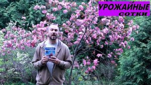 О журнале "Урожайные сотки"