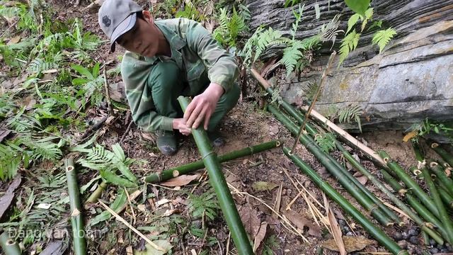 FULL VIDEO : 365 days, survival alone, skills, boar traps, survival instincts смотреть онлайн