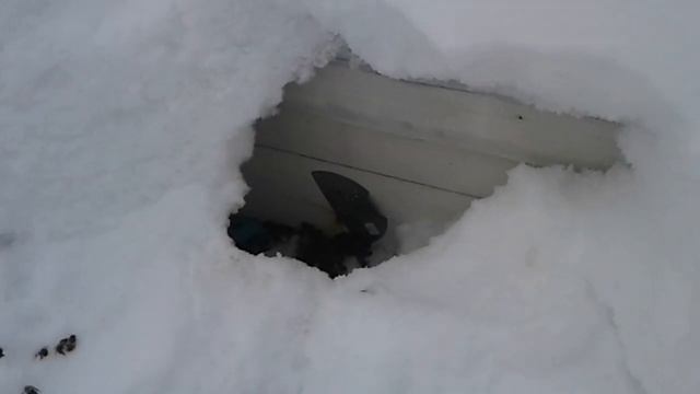 Пчелы на Даче. После снегопадов. Московская область смотреть онлайн