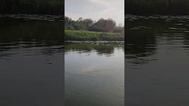 Наша прогулка по воде #дача #сезон2023 #наприроде смотреть онлайн
