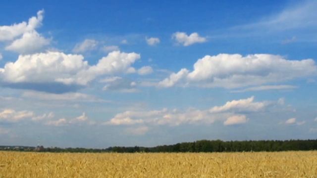 "Выйду ночью в поле с конем" STYLE SOUND смотреть онлайн