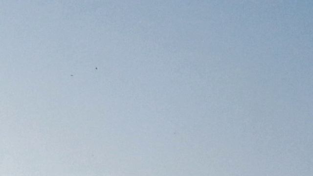 Ласточки смотреть онлайн