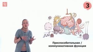 Чувства и эмоции. Психология. Лекция