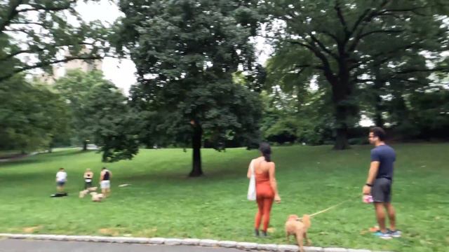 NYC Central Park Citi Bike And Walk