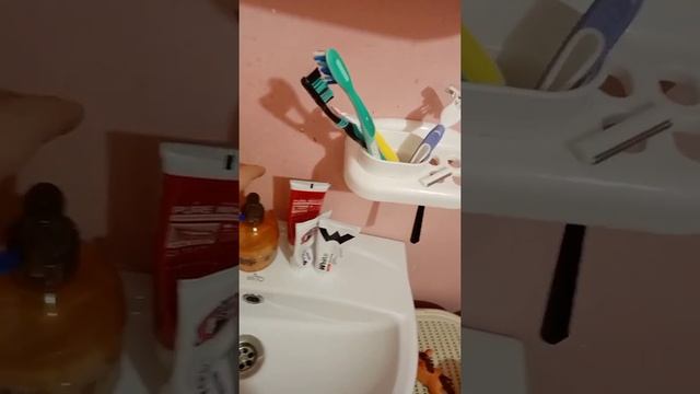 Обзор продукции NL смотреть онлайн