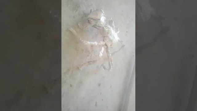 КАк сделать паука из фальги смотреть онлайн