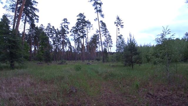 Люди в чёрном пришли ко мне! смотреть онлайн