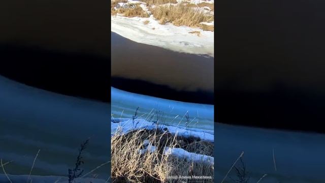 Стихотворение "ТО САМОЕ МЕСТО"читает автор © Алина Никитина☀️С весной нас❤️???? смотреть онлайн