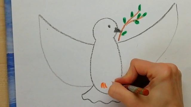 Рисуем голубя - символ мира! смотреть онлайн