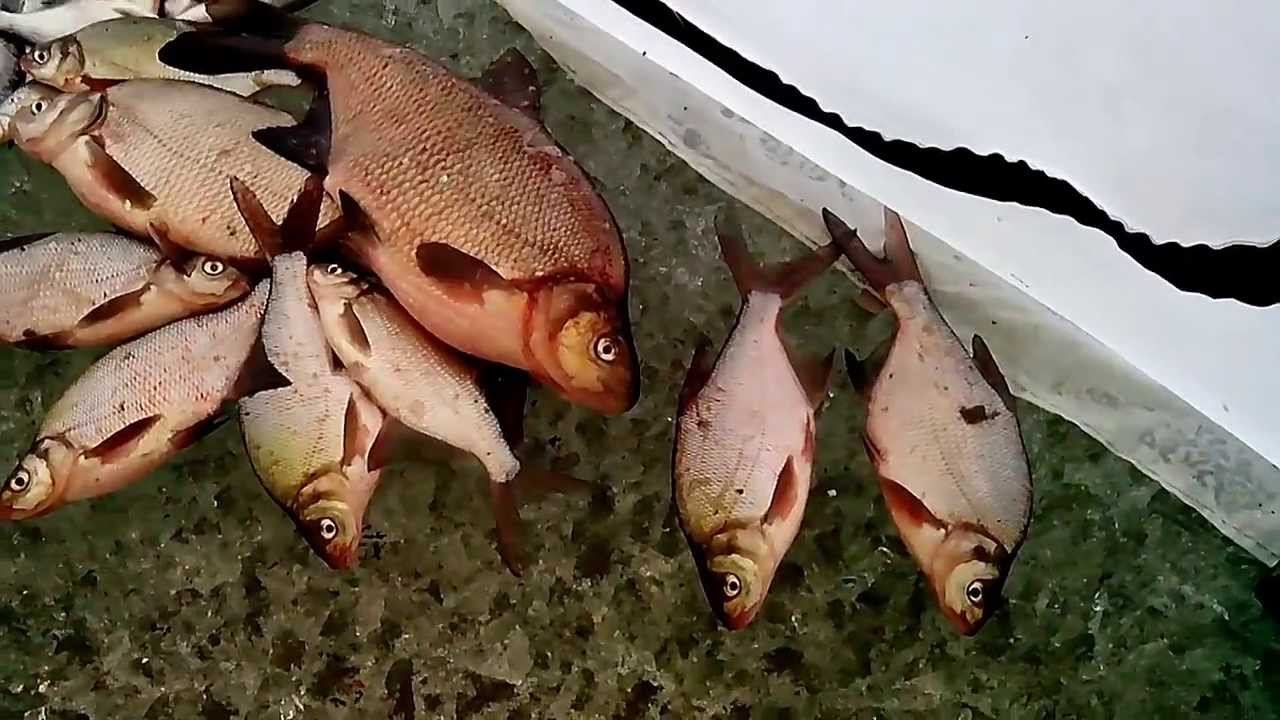 Зимняя удочка с подшипником или "Кивок Щербакова" смотреть онлайн