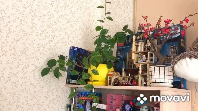 ?Комнатные растения в интерьере?Майский обзор? смотреть онлайн