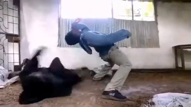 Chingili Mlevi Action Bongo Movie смотреть онлайн