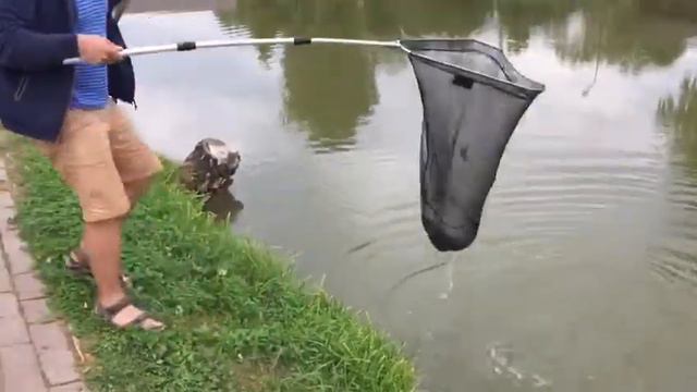 Поимка осётра в РК Фишка Липки смотреть онлайн