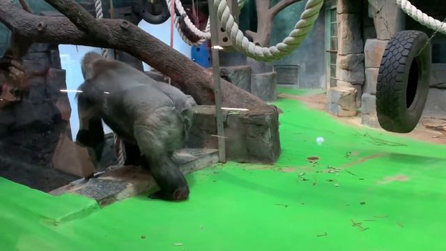 9 января 2020 г. смотреть онлайн