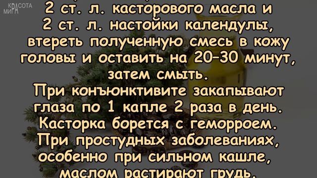 КАСТОРОВОЕ МАСЛО против 17 НЕДУГОВ смотреть онлайн