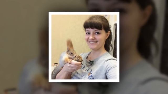 Женщина выкормила бельчонка, нося его с собой даже на работу. Посмотрите как вырос этот комочек! смотреть онлайн