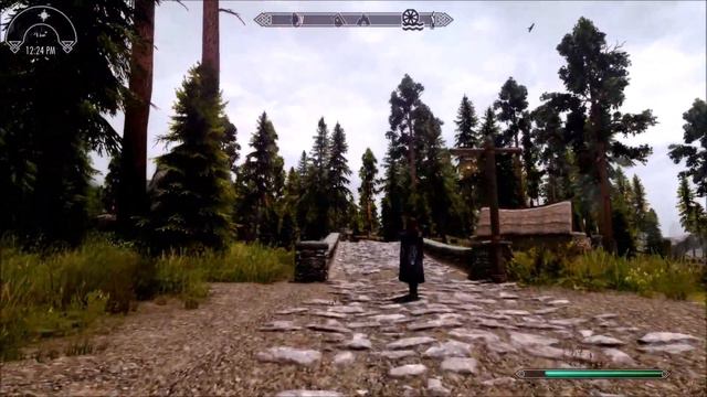 Skyrim SE Mods:Real Lighting ENB ReShade for Vivid Weathers SE смотреть онлайн