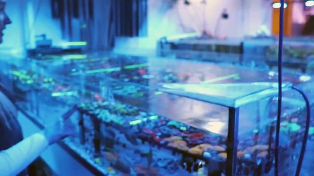 One Of USA's Best Saltwater Aquarium Stores: A Reef Creation (ARC) смотреть онлайн