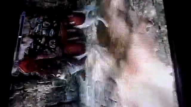 Skyrim dog twerking смотреть онлайн