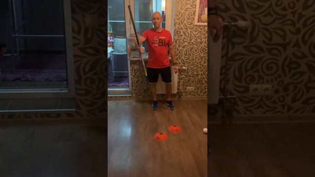 Николаев М.Ю. Флорбол (29 октября) смотреть онлайн