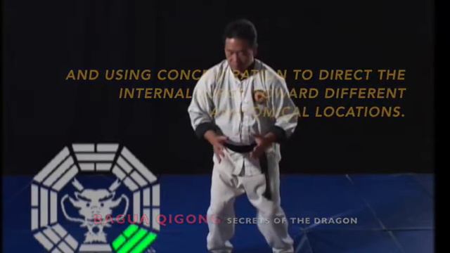 Bagua's Eight Animal Qigong with Jason Tsou смотреть онлайн
