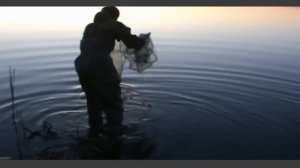 Ловля раков весной на раколовку.