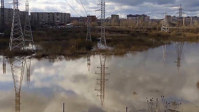 Рыбные Похождения