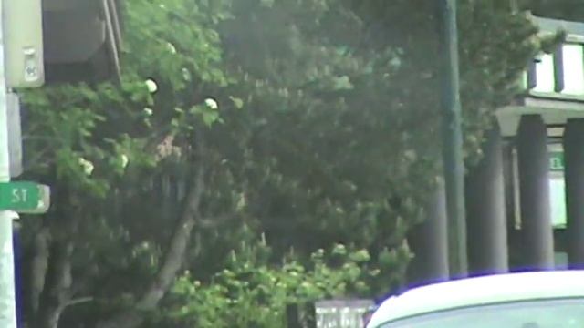 Forks, Washington Tour