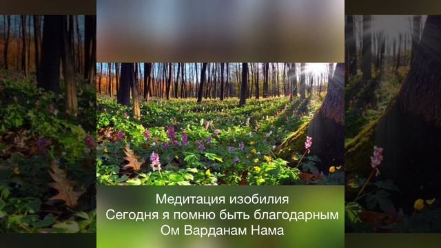 Изобилие за 21 день - День 16. Медитация. Медитация. Жить с благодарностью. смотреть онлайн