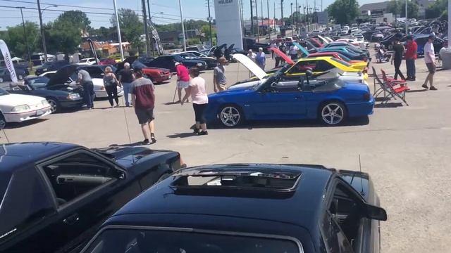 Fox best Peterborough Ontario смотреть онлайн