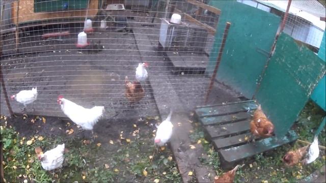 Навес 3 на 3 за 3 часа! смотреть онлайн