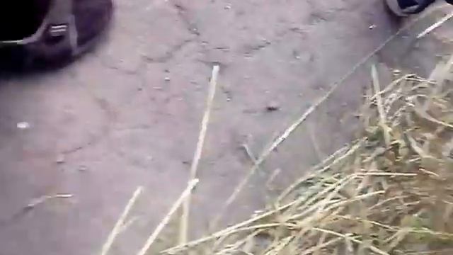 ДЕ ТРУСЫ ? История села лащовы смотреть онлайн