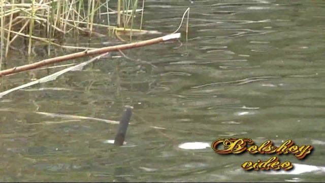 Наша рыбалка смотреть онлайн