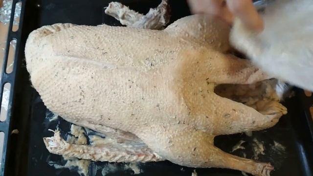 ГУСЬ ЗАПЕЧЕННЫЙ В РУКАВЕ. РОЖДЕСТВЕНСКИЙ ГУСЬ смотреть онлайн