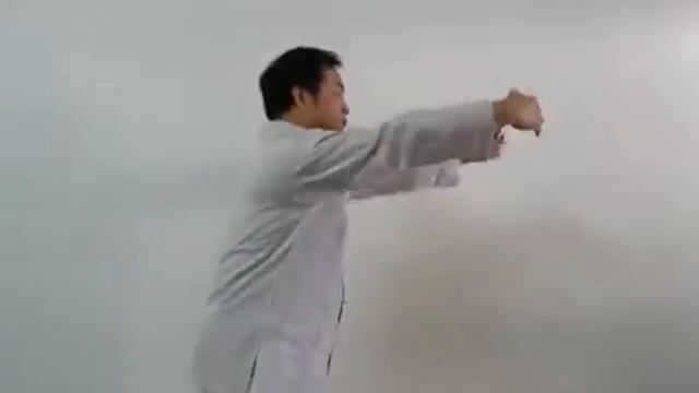 У СИН ШОУ.РУКИ ПЯТИ ЭЛЕМЕНТОВ.ЦЗОНГХЭЦЮАНЬ смотреть онлайн