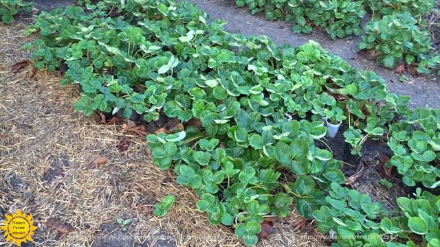 Как заработать свои первые деньги? смотреть онлайн