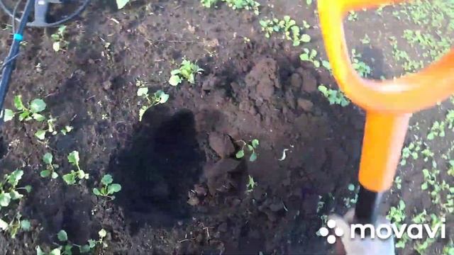 бескрайнее поле и интроник.(intronik) смотреть онлайн