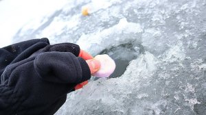 Мало кто знает. Всю зиму линь отлично ловится на это! Прикормка и наживка на линя зимой. Линь творог