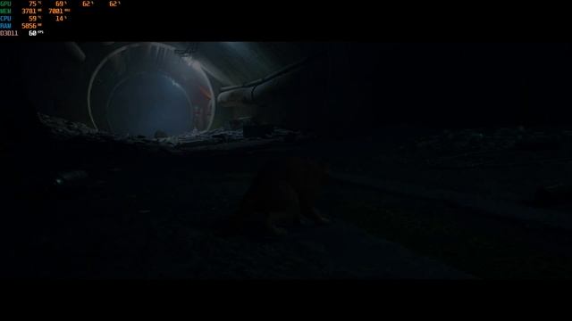 Stray on RTX 2060 i7-9700F 16GB RAM смотреть онлайн