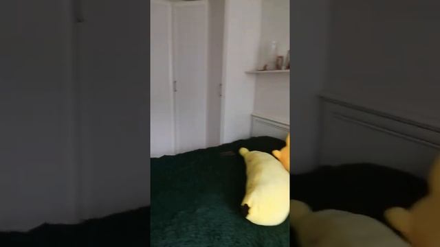 Уютная однушка. (г. Калининград, ул. Маршала Новикова д. 13) смотреть онлайн