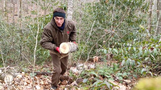 Dewalt DCCS 620 battery powered 20V chainsaw part 2 смотреть онлайн