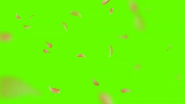 Falling flower effect | Green Screen Background | With Falling Flowers | 1 HOURS смотреть онлайн